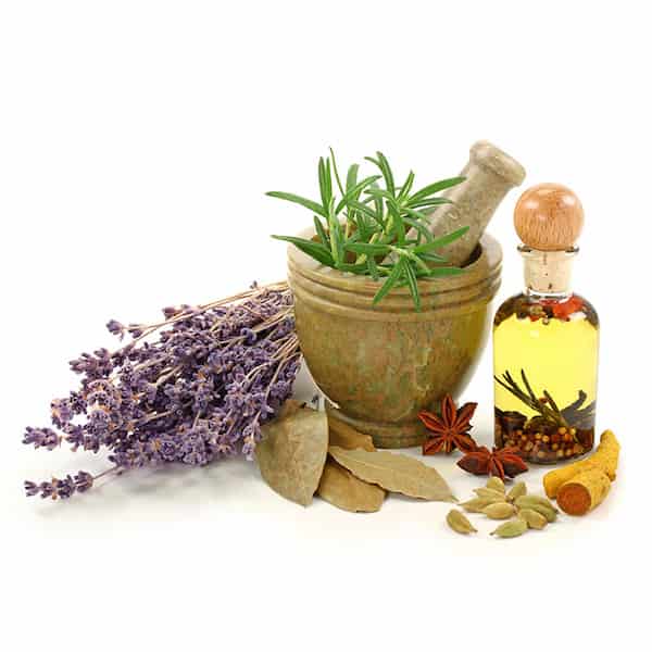 تصویر 3 از قیمت خرید چهل گیاه 500 گرمی + فروش ویژه